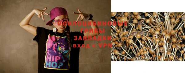 apvp Михайловск