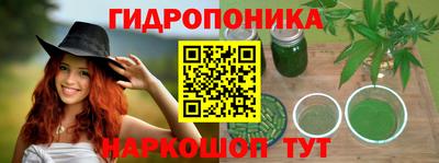 трава Бийск