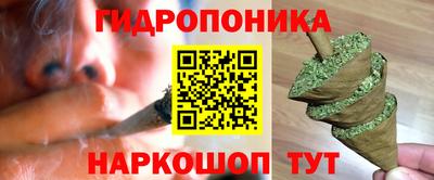 СК Абинск
