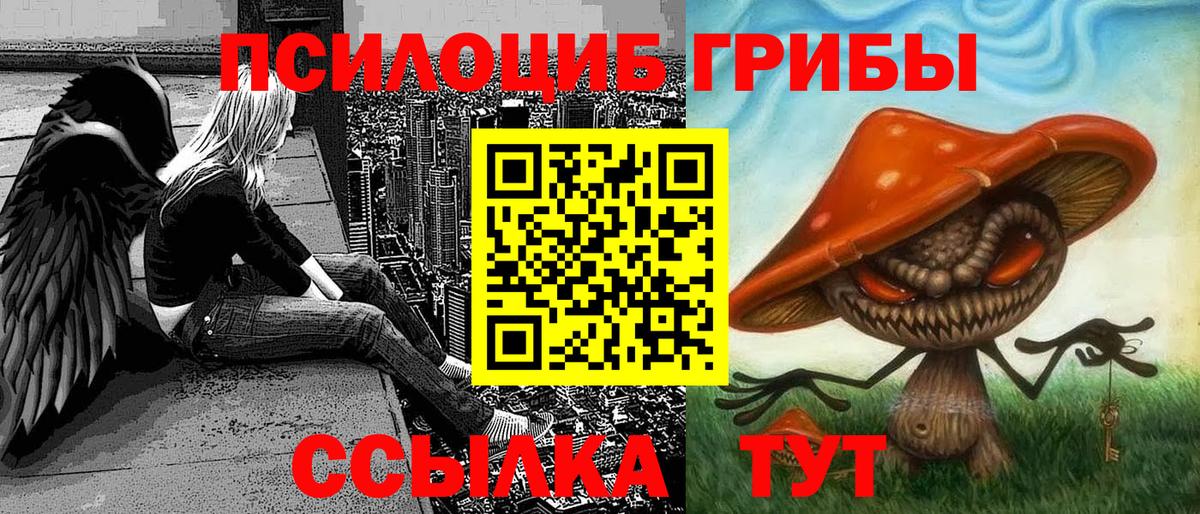 Галлюциногенные грибы GOLDEN TEACHER Кореновск