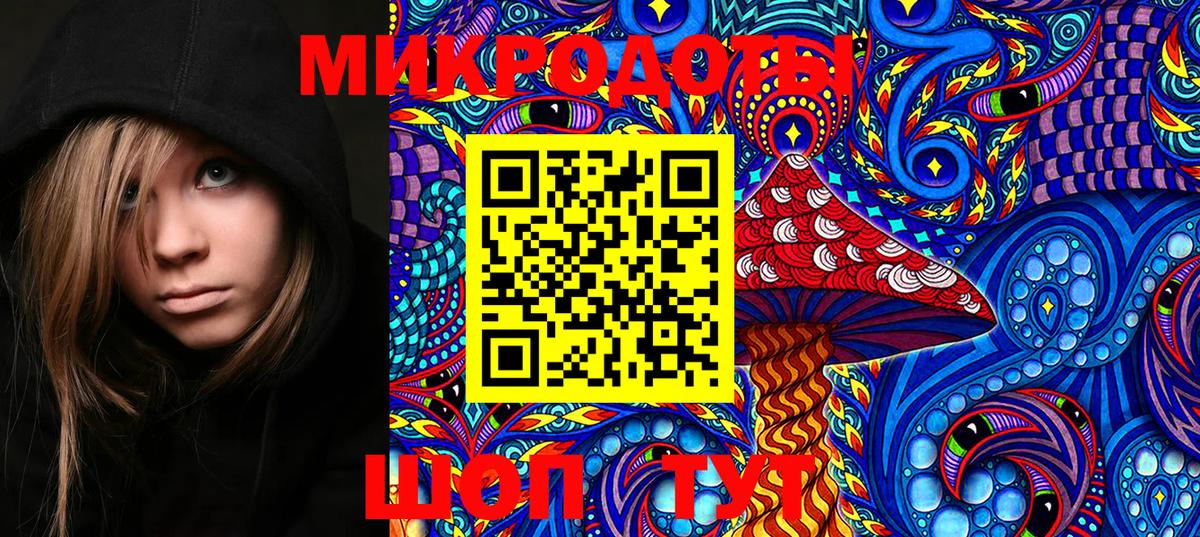 Галлюциногенные грибы Psilocybe  Вход с VPN  Кореновск 