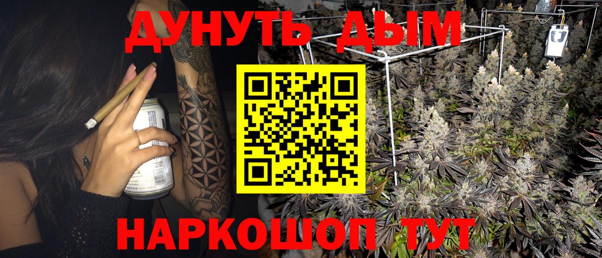 МАРИХУАНА планчик  Канабис гибрид  Кореновск  Марихуана ГИДРОПОН 